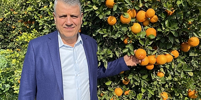 Ayhan Barut, portakal bahçesinden iktidara seslendi